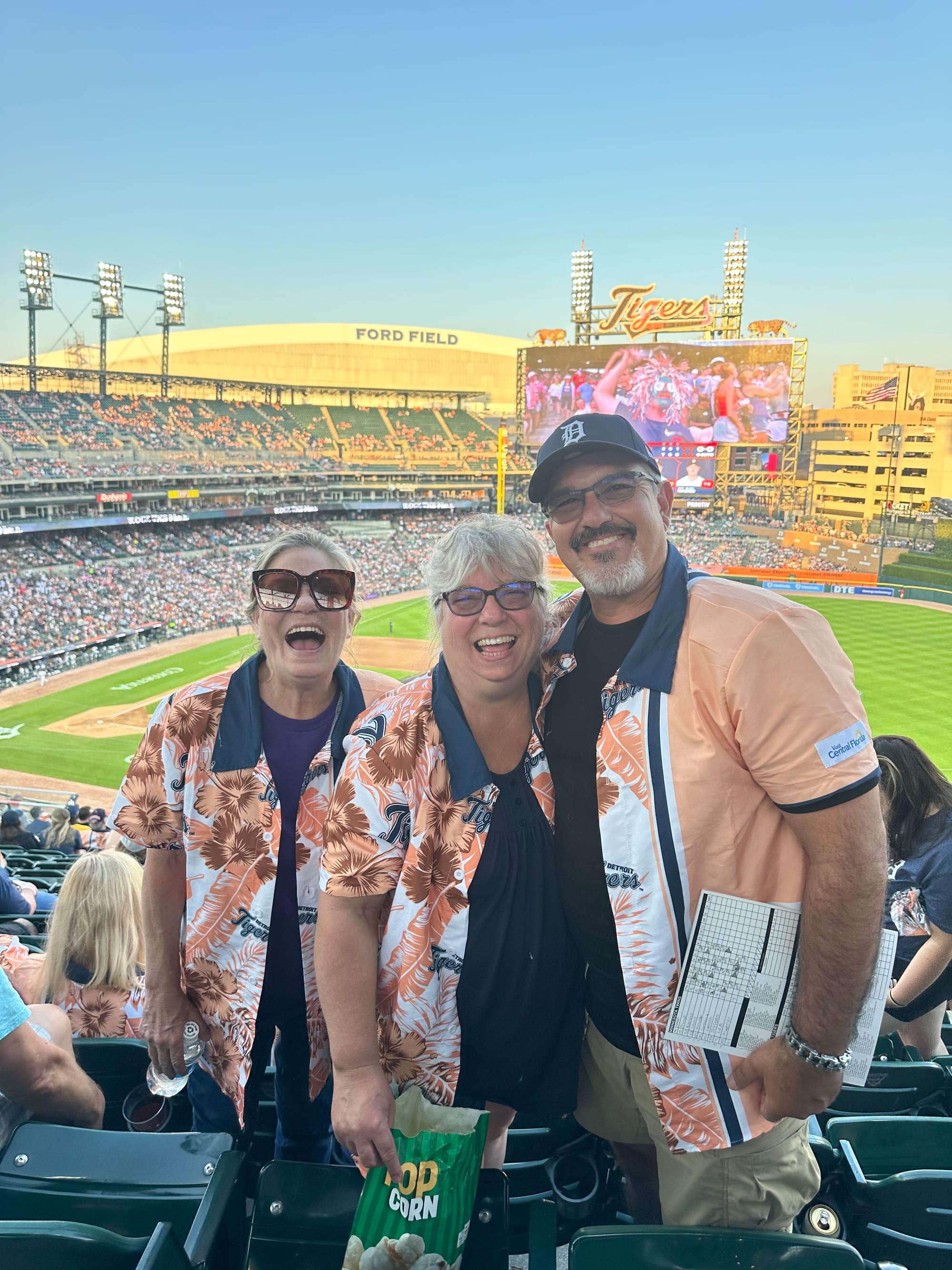 Day 17 - Tigers Game